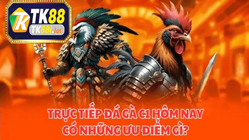 các trận đấu trực tiếp đá gà tại Tk88
