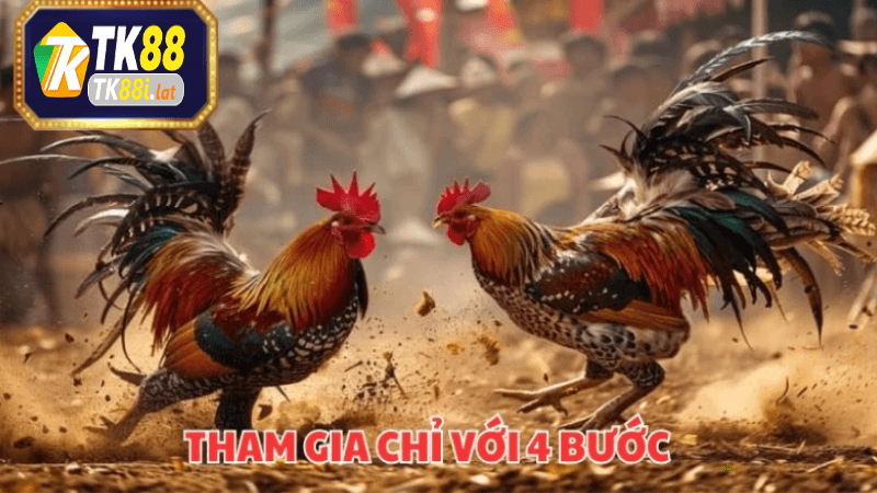 Tầm quan trọng của việc chọn đúng địa điểm để xem